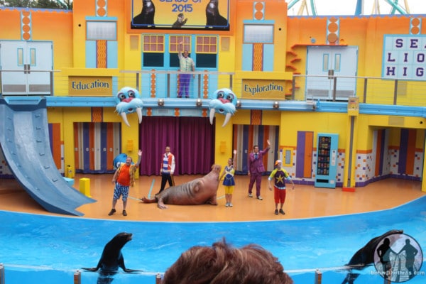 Clyde & Seamore's Sea Lion High