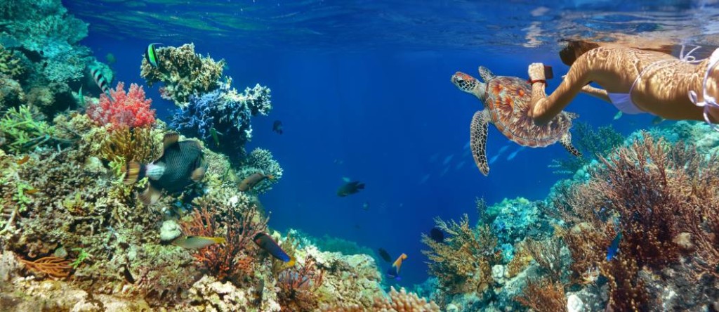 Vero Beach Snorkeling The Best Beaches In World Private Flights To West Palm Beach Executive Jet Services