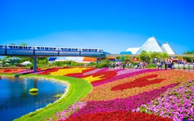 Orlando Florida – 15 New Attractions of 2017